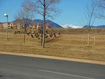 0203hotelarea.jpg
