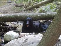 20110801_uphike.jpg