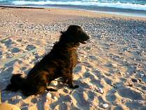 20110804_lakebeach.jpg