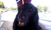 20110828_lakecolumbia.jpg