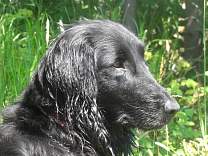 20120626_trailportrait.jpg