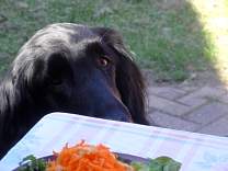 20140420_02eyeingeasterdinner.jpg