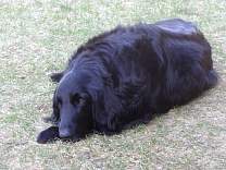 20140420_03afterdinnerrest.jpg