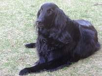 20140420_04afterdinnerrest.jpg