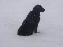 20151121_snow.jpg