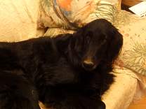 20151227_oncouch.jpg