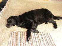 pict0071.jpg