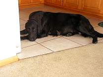 pict0073.jpg