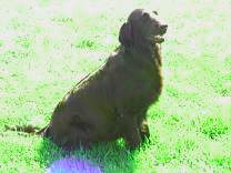 pict0075.jpg