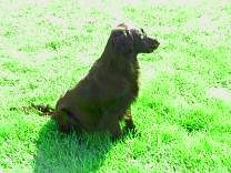 pict0076.jpg