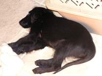 pict0622.jpg