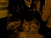 dsc02936.jpg