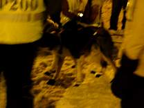 dsc02937.jpg
