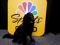 20190123_04nbcgold.jpg