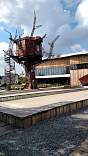 0120dogfishtreehouse.jpg