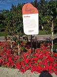20190905_04thanksgivingpoint.jpg