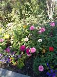 20190905_09thanksgivingpoint.jpg