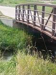20171011_03bridge.jpg