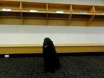 0312minredwinglockerroom.jpg