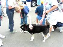 pict0036.jpg
