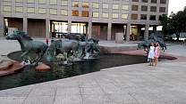 01stallions.jpg