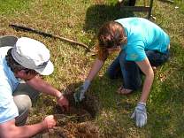 16plantingonemoretree.jpg