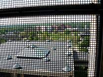 0230carillonview.jpg