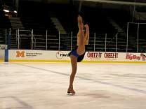 0305michiceshow1108.jpg