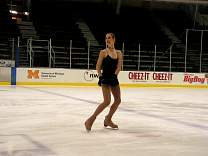 0306michiceshow1108.jpg