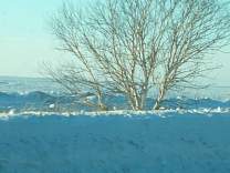 060105lkmich.jpg