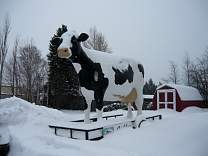 060323jilberts.jpg